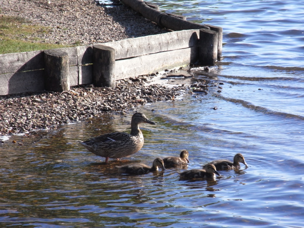 Family outing