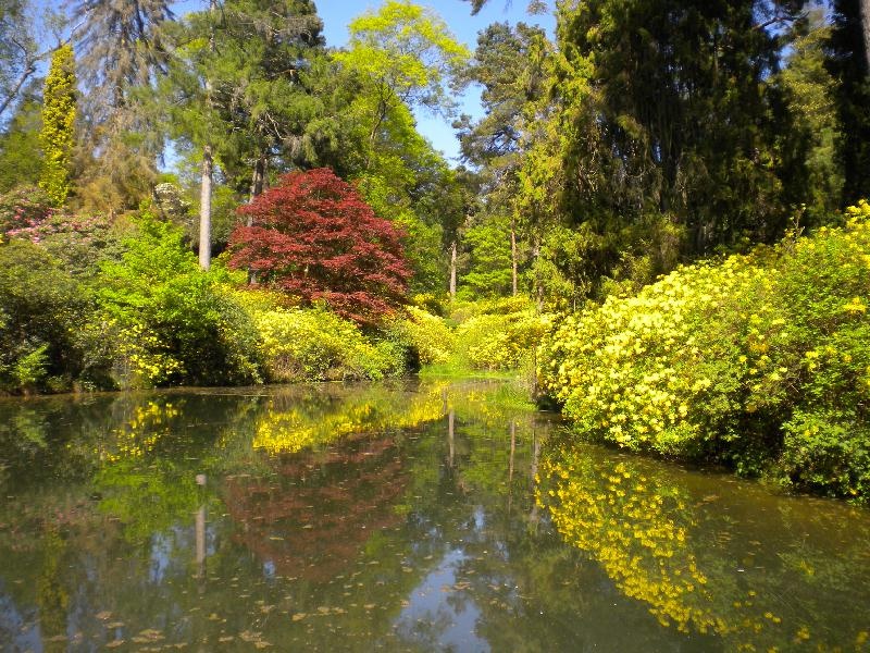 Leonardslee Lakes and Gardens