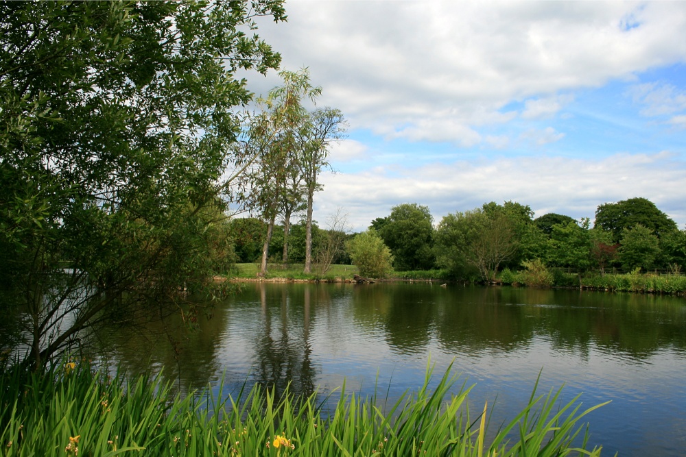 Summer on the Lake at Nidd.