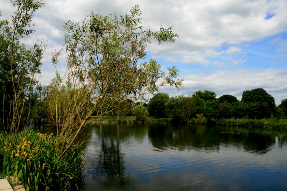 Summer on the Lake at Nidd.