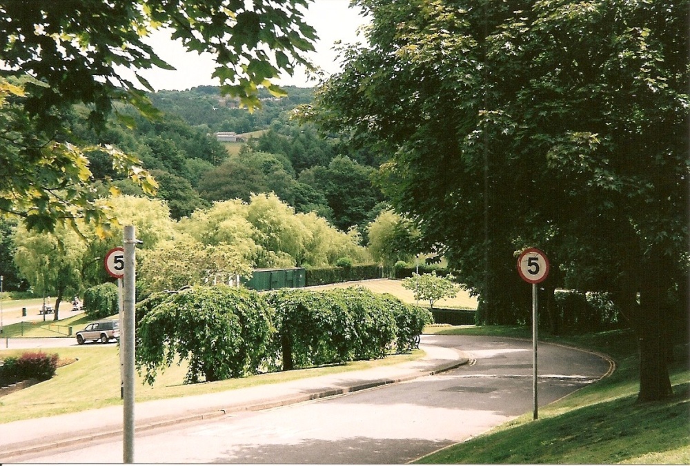 Road to Park and Recreation Fields