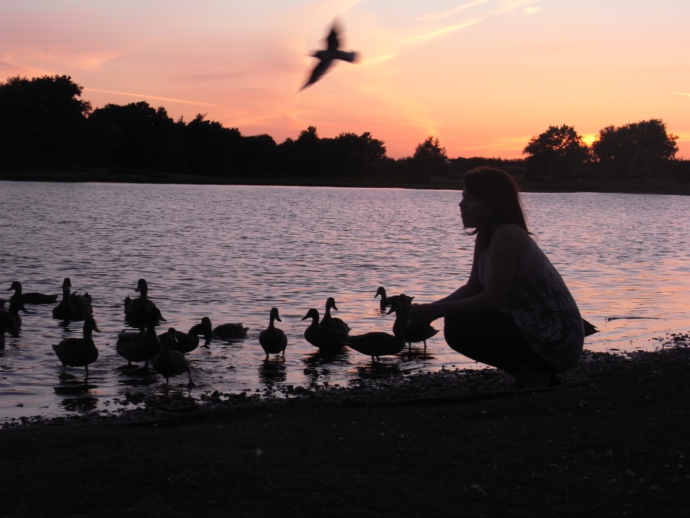 Dinner at dusk