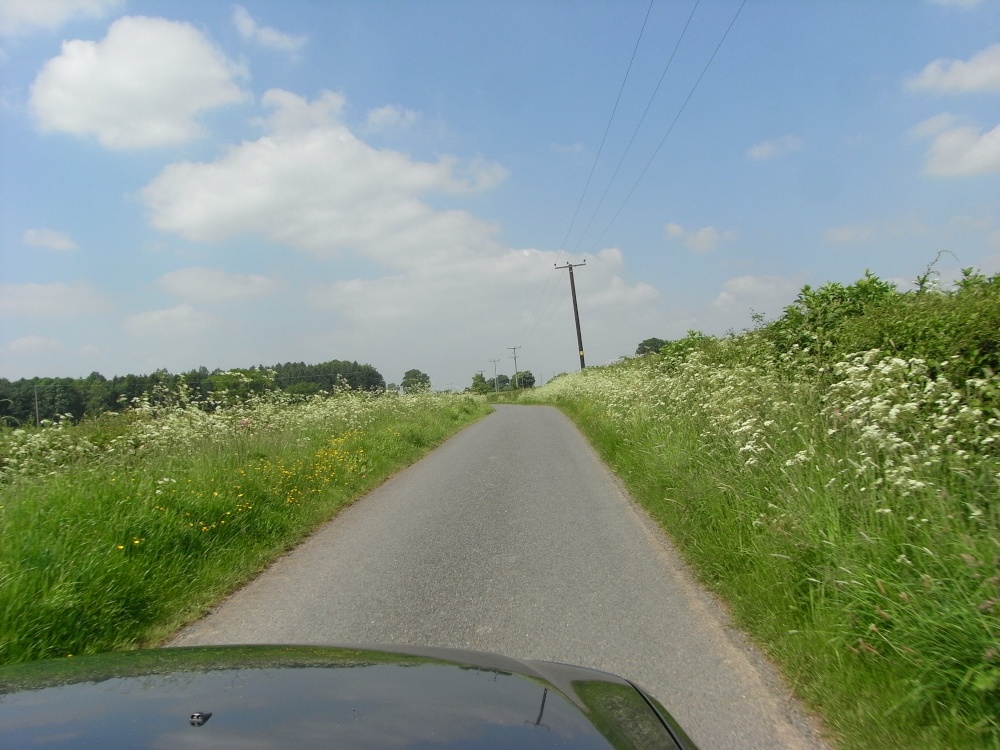 Herefordshire lane in June