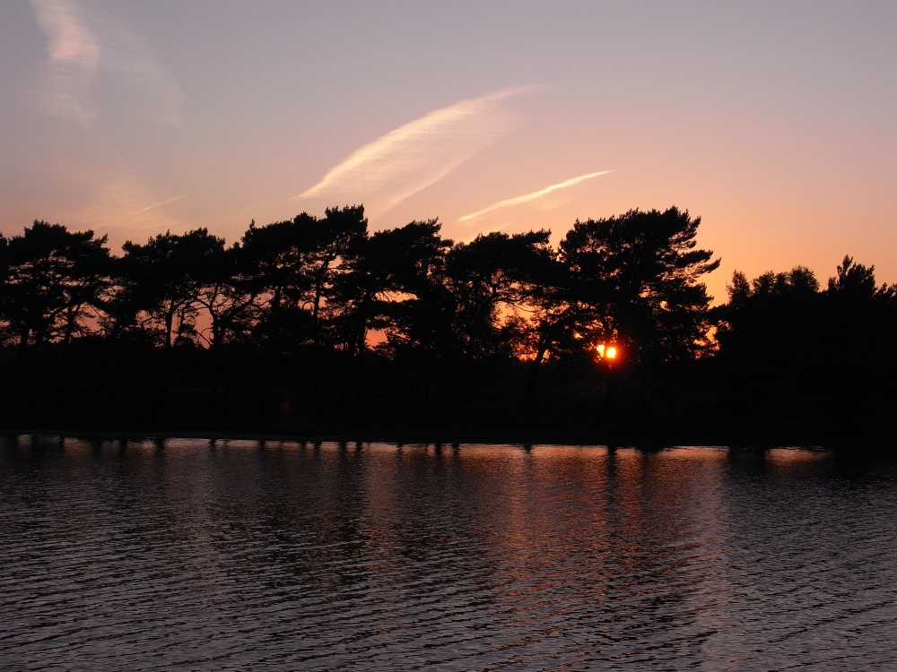 Hatchet pond