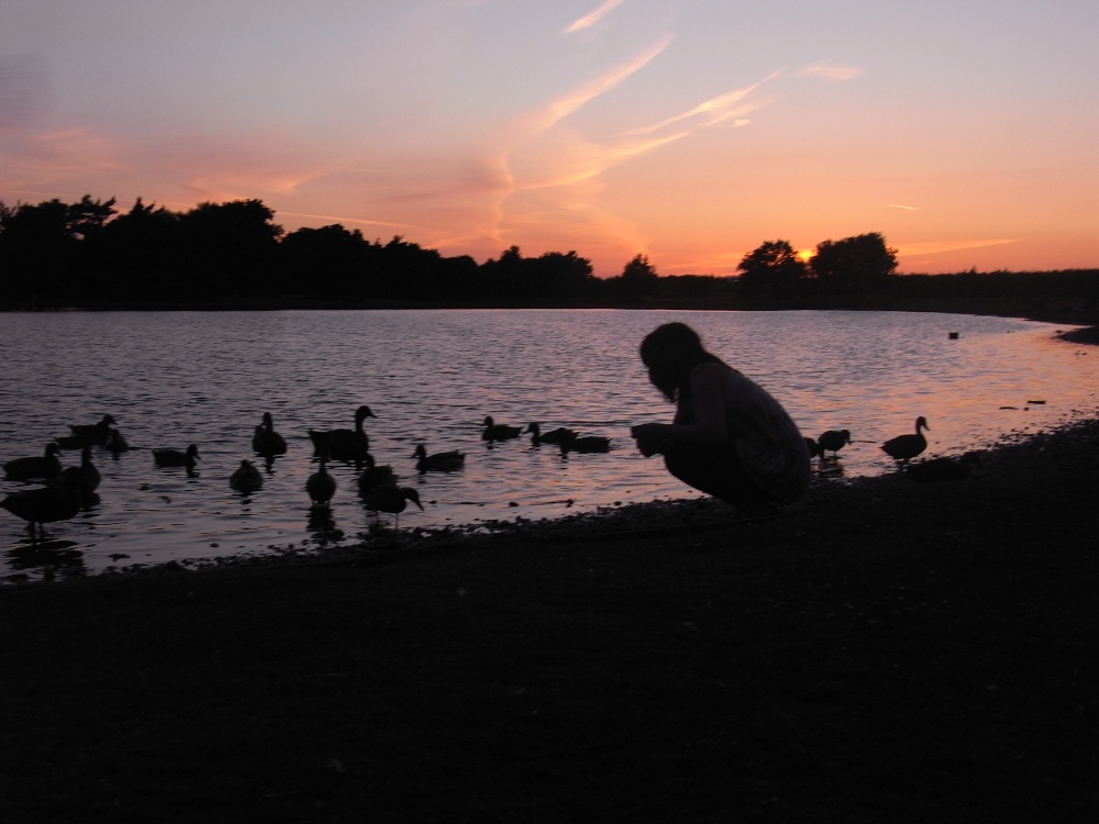 Feeding the ducks on Hatchet pond