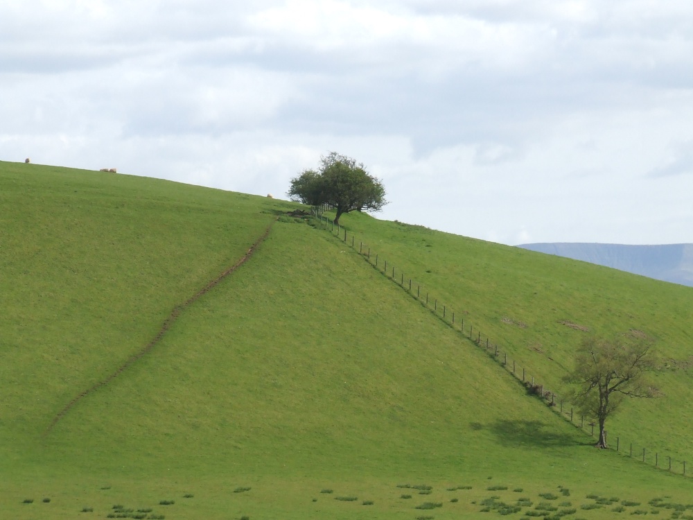 Photograph of Llandefalle Common