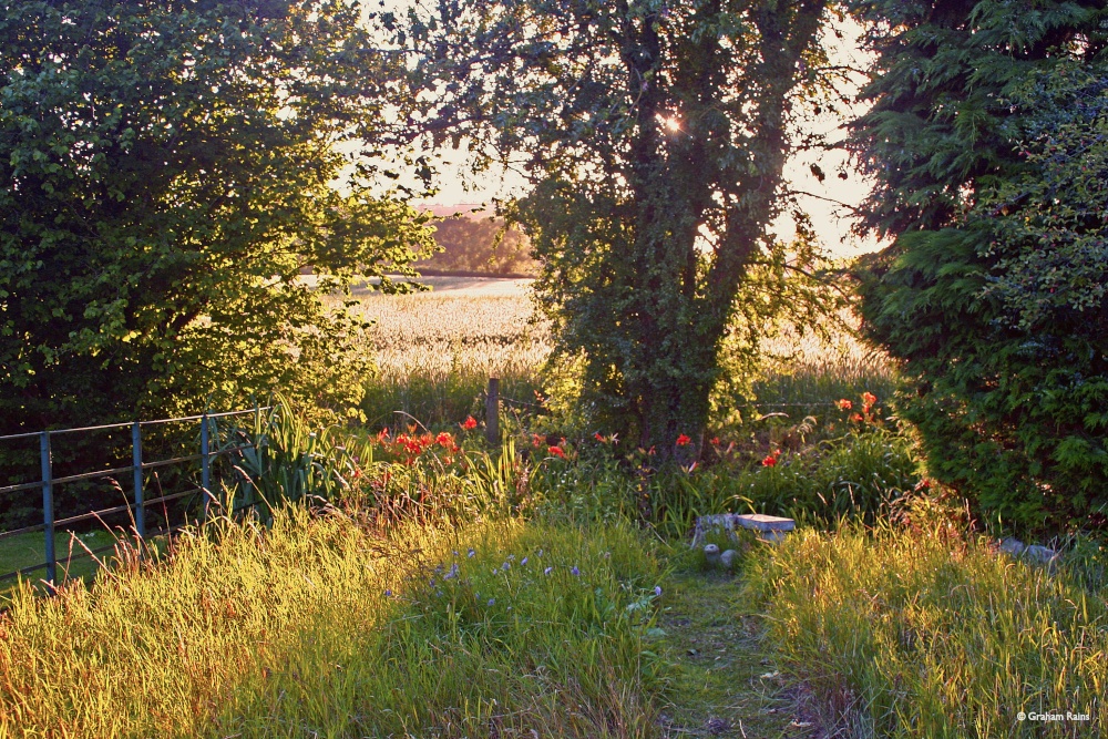 Stour Valley Summer