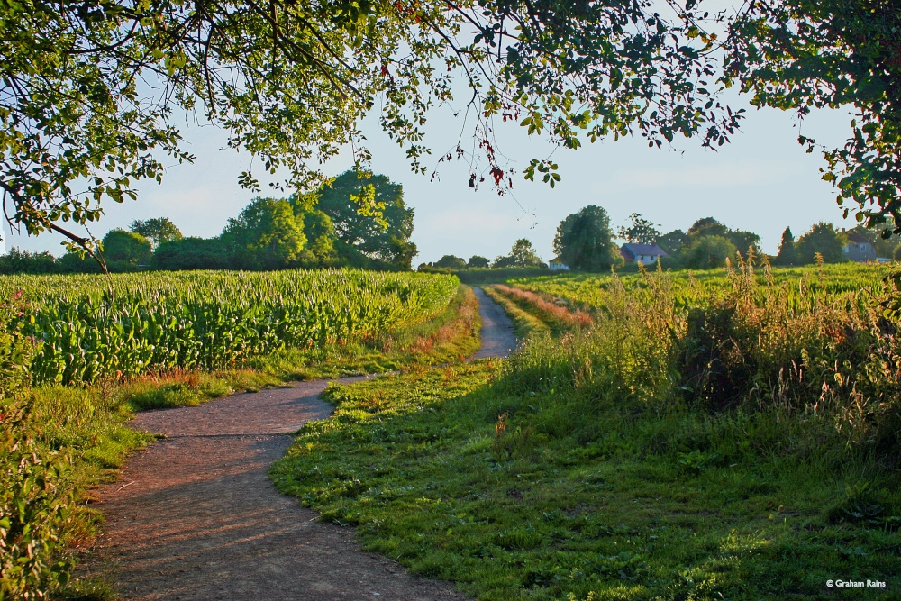 Stour Valley Summer