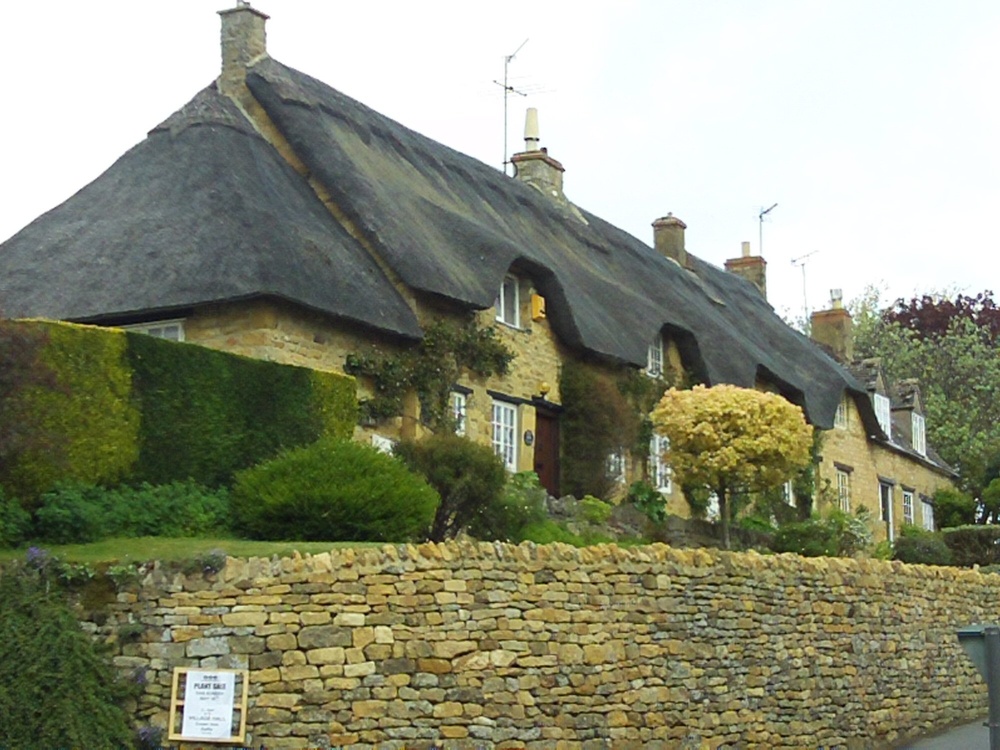 Thatched roof house