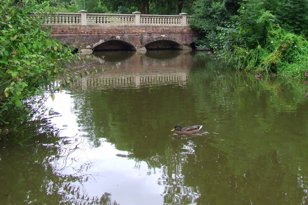 Newent lake and park