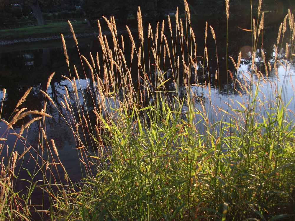 River Usk at Crickhowell