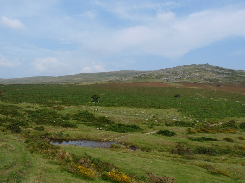 Dartmoor