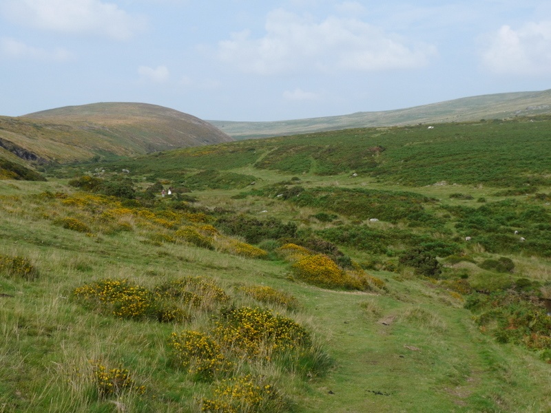 Dartmoor