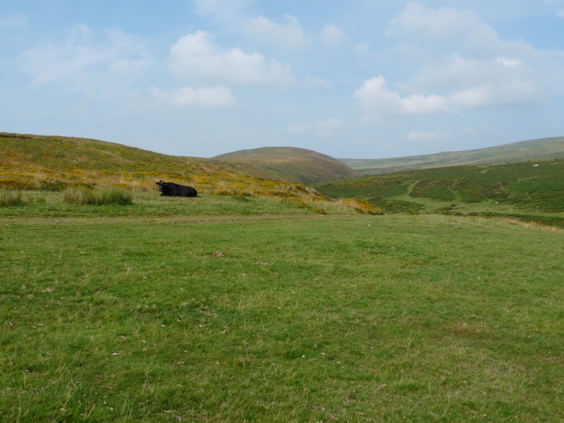 Dartmoor