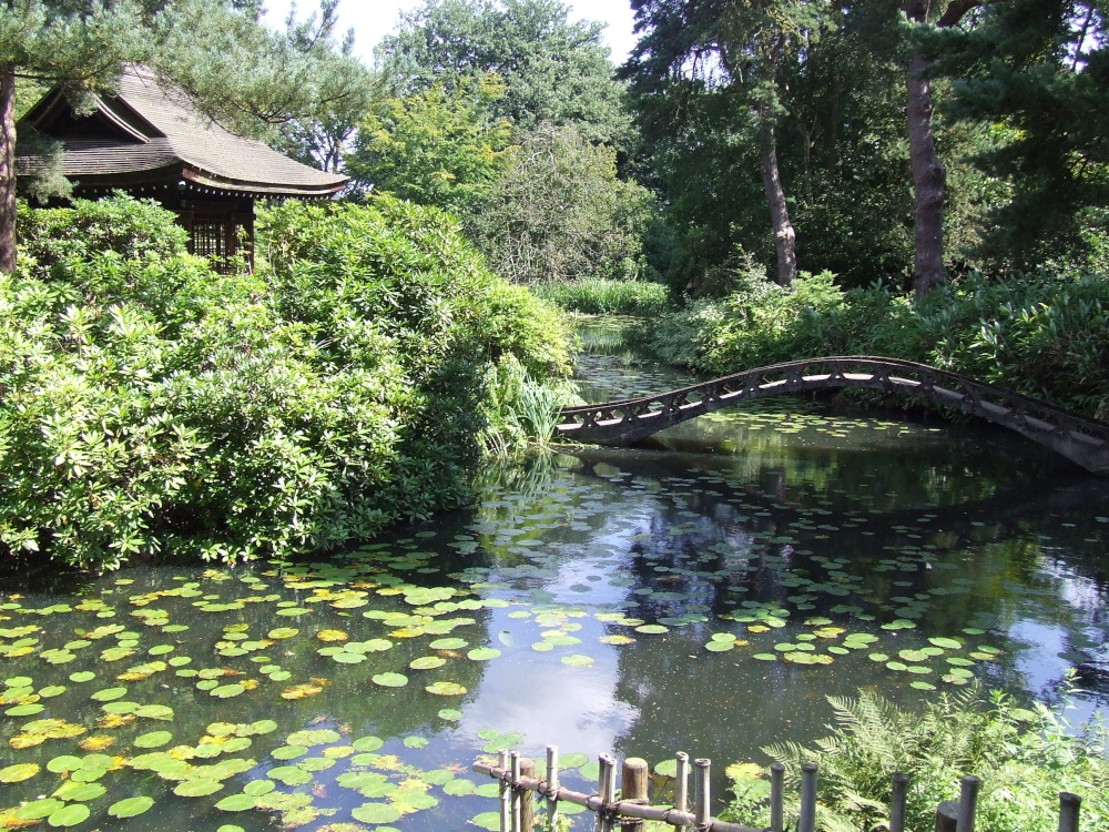 Photograph of Japanese garden