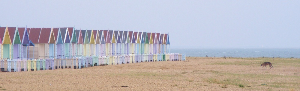 Beach huts