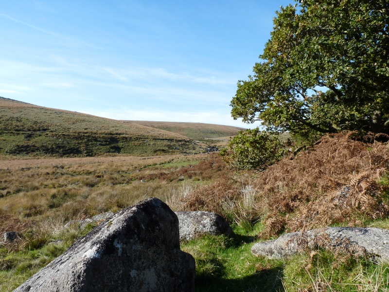 West Dart River