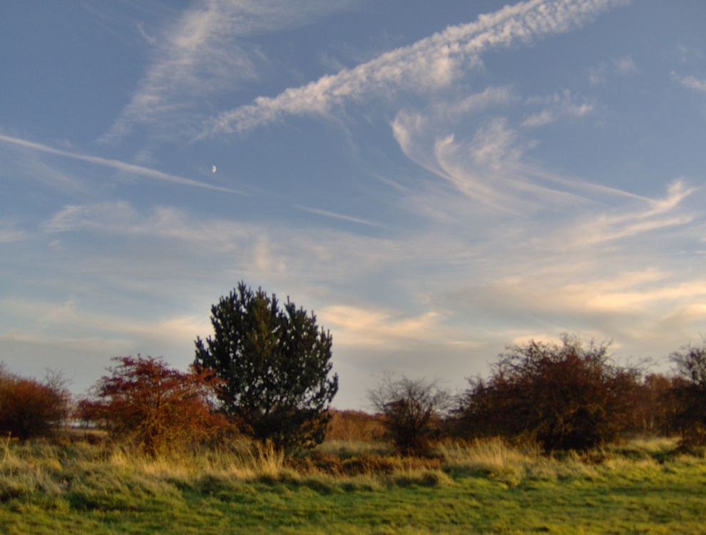 Brocton Autumn Sunset