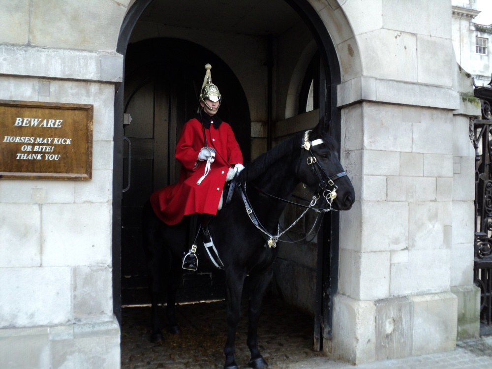 On Guard at Whitehall