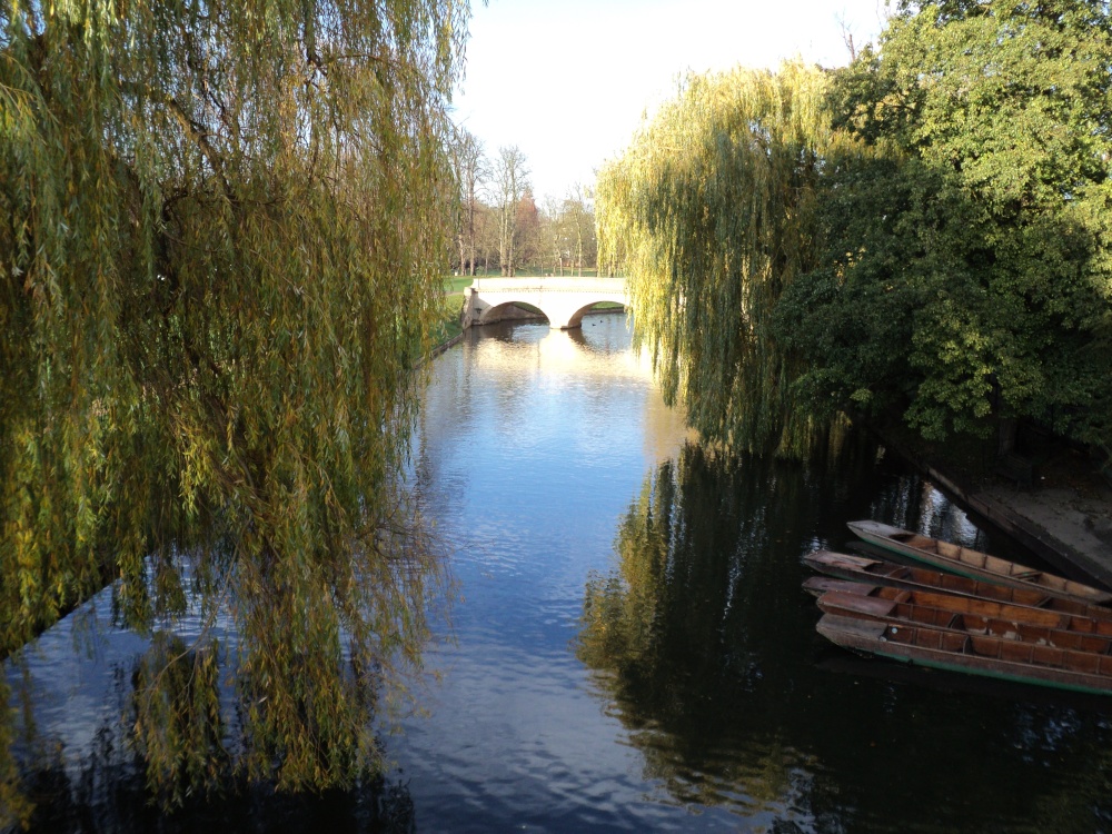 The Backs, Cambridge