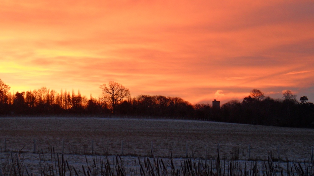 View from Jeskyns Park towards Cobham Village