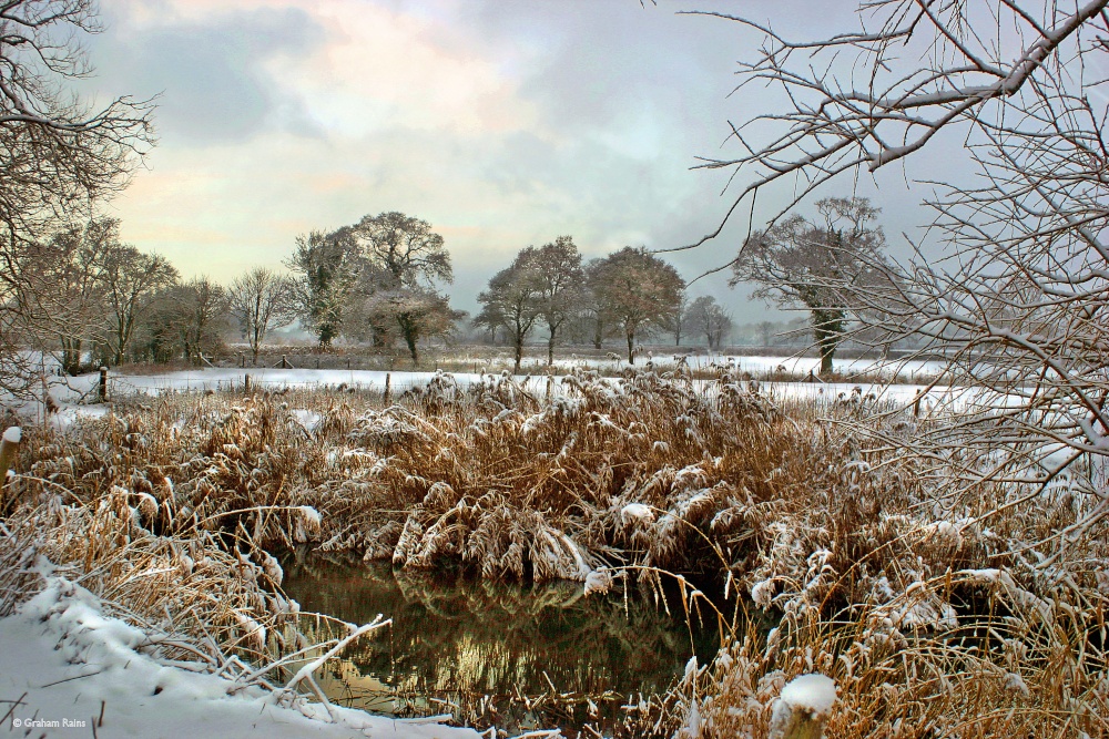 Stour Valley Winter, Shillingstone.