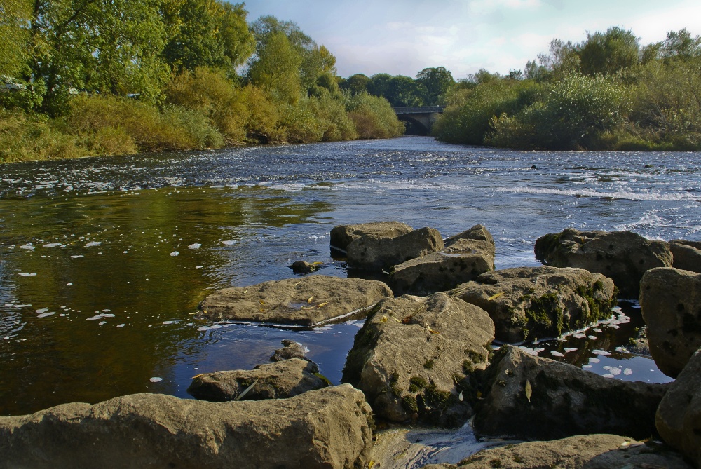 Out and about in Boroughbridge