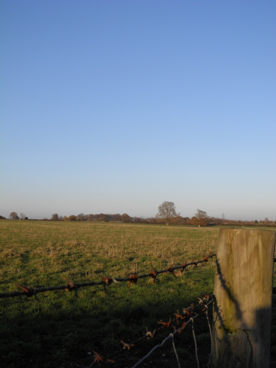 Calleva Atrebatum, Silchester