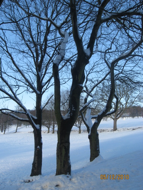 Snow on the Golf Course