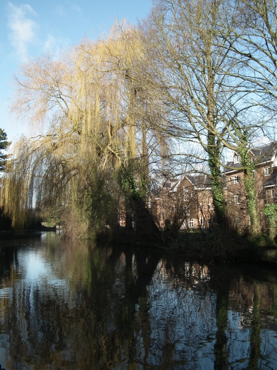 Canal, Hunton Bridge