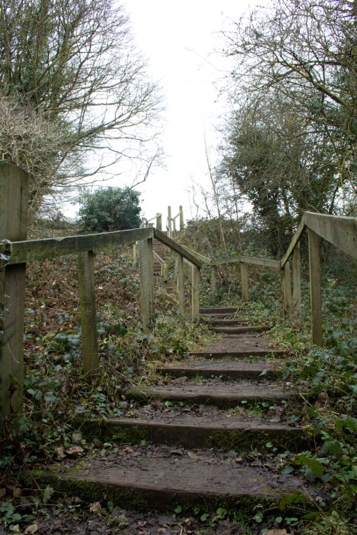 Sprotbrough Flash Path