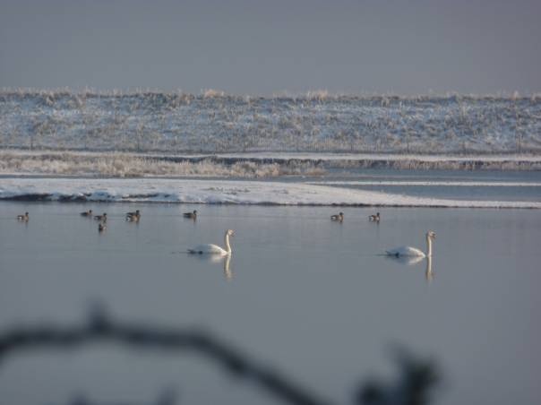 WINTER 2011 photo by Paul Fovargue