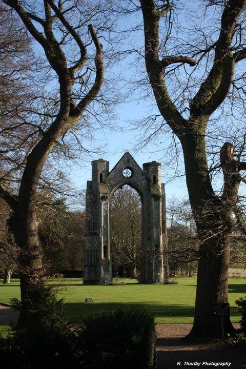 Abbey Ruins