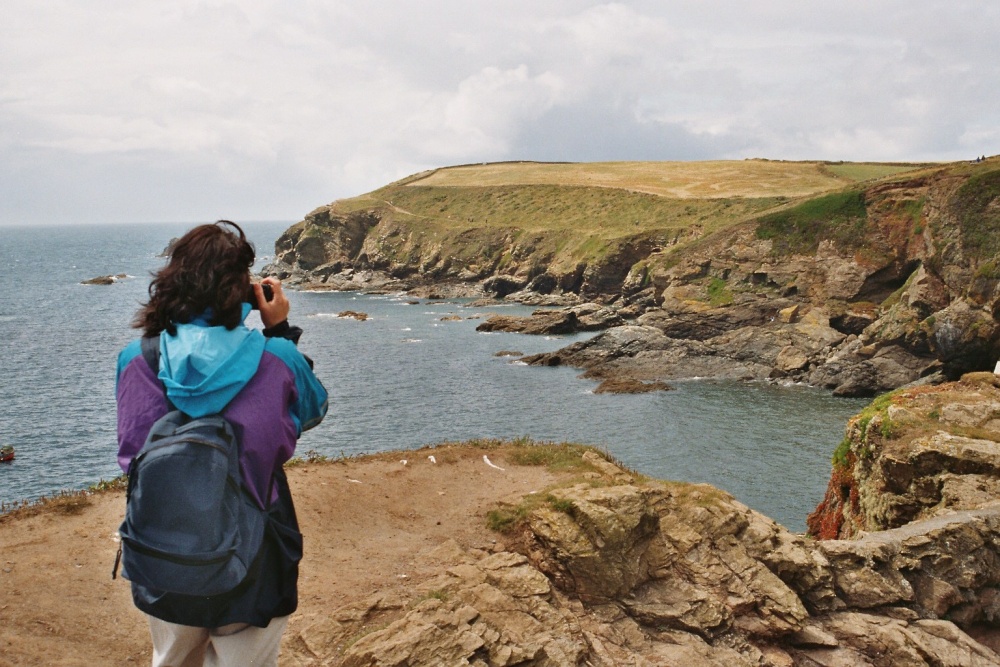 Lizard Point