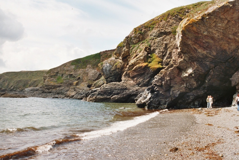 Lizard Point