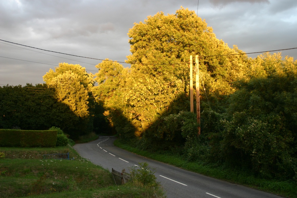 Summer evening