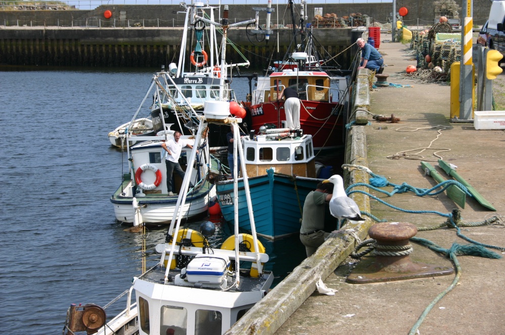 Photograph of Helmsdale Harbour