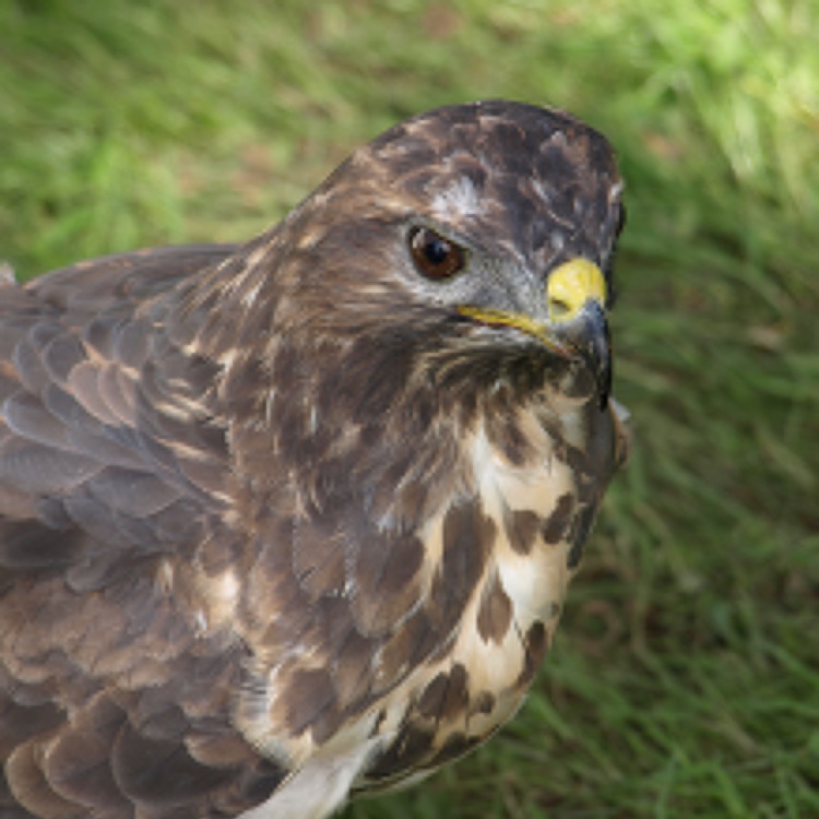 A picture at Lake District National Park