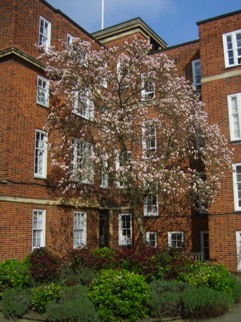 Downing College, Cambridge