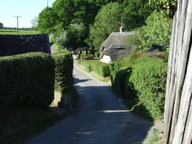 Lower Chicksgrove, Wilts.