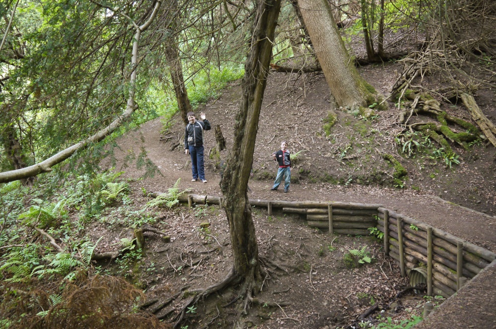 Castle Eden Dene photo by beddgellert