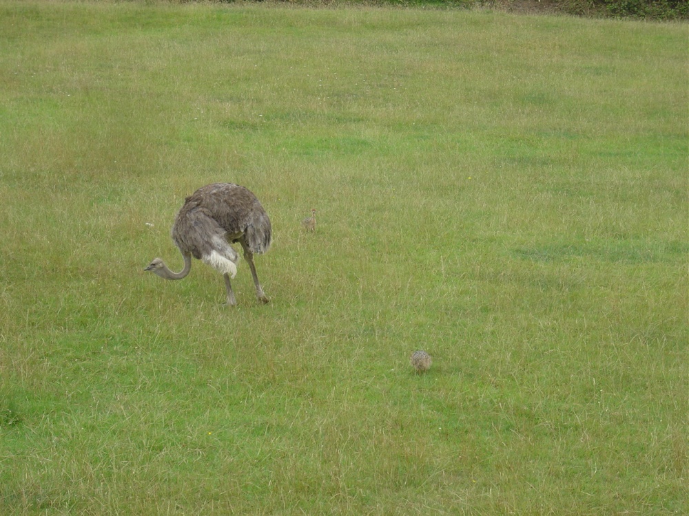 Longleat