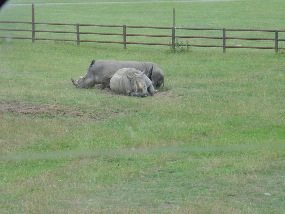 Longleat