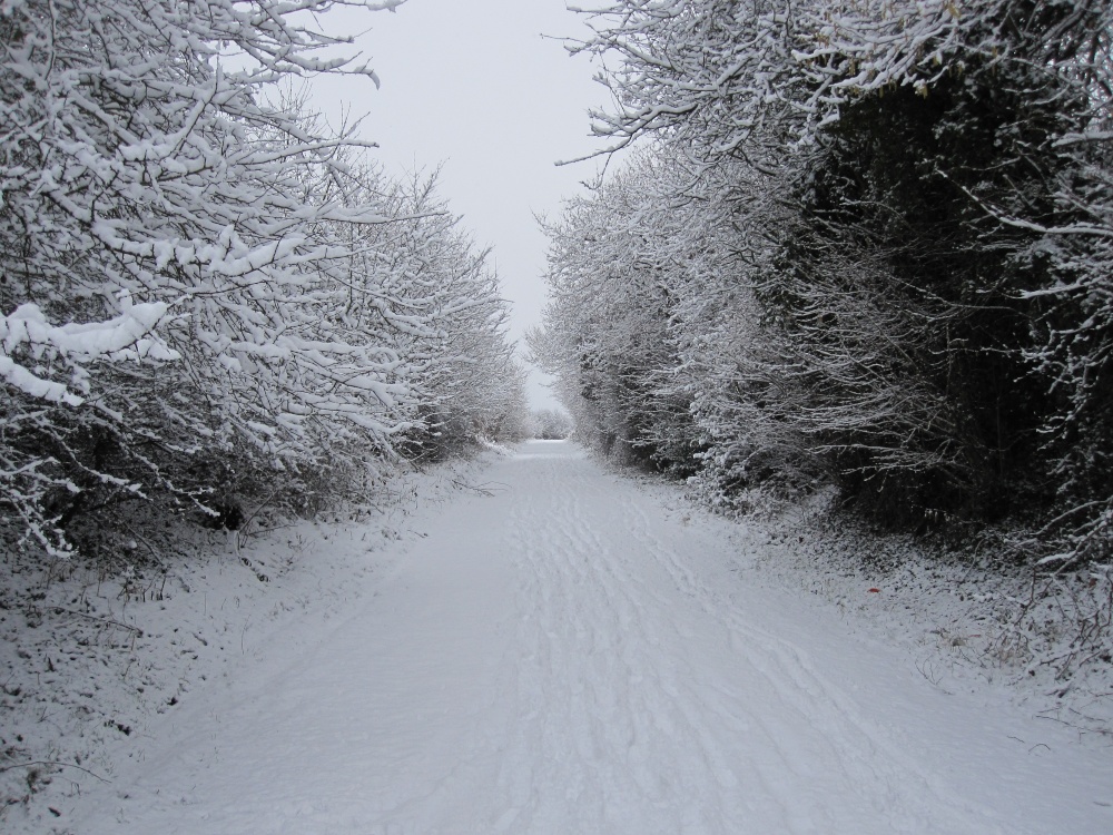 Photograph of Mill Lane