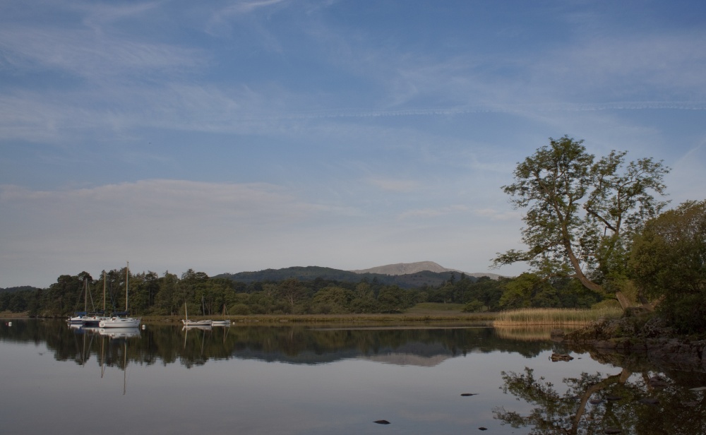 Wateredge reflection 1