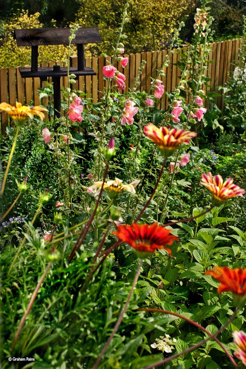 Cottage Gardens