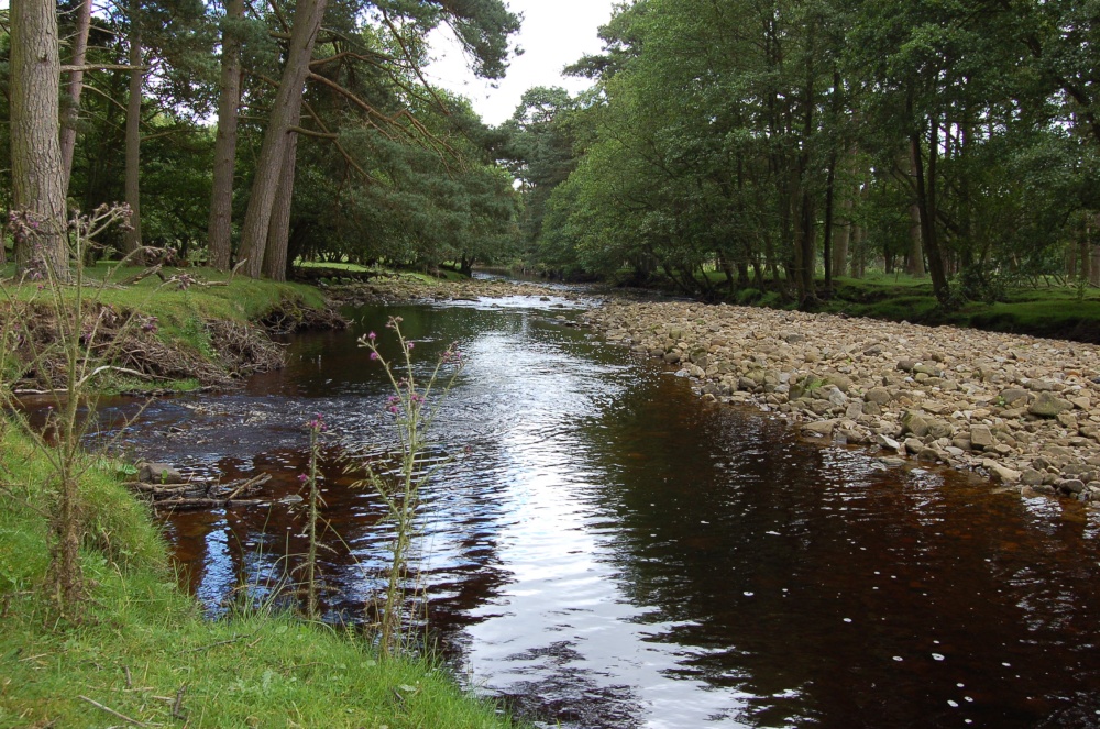 Arckle Beck