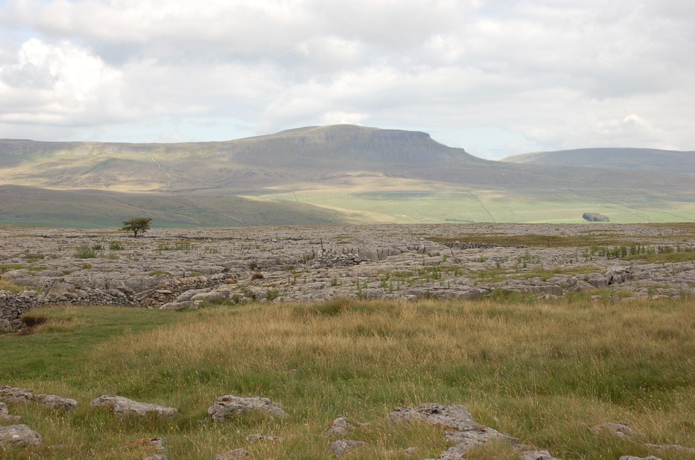 Limestone Pavement