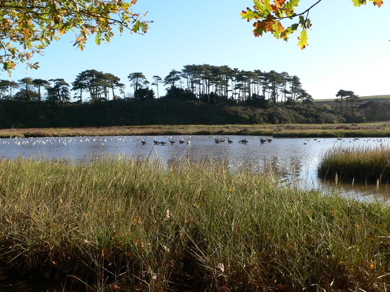 Budleigh