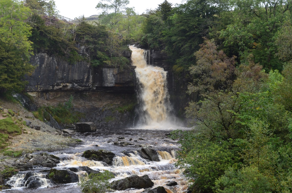 Photograph of Thornton Force